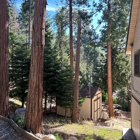 Sequoia National Forest Cabind Panorama Heights Exterior photo