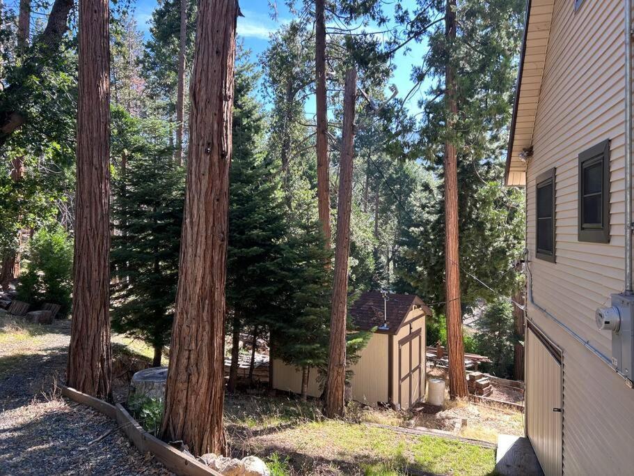 Sequoia National Forest Cabind Panorama Heights