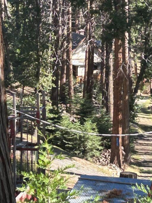 Sequoia National Forest Cabind